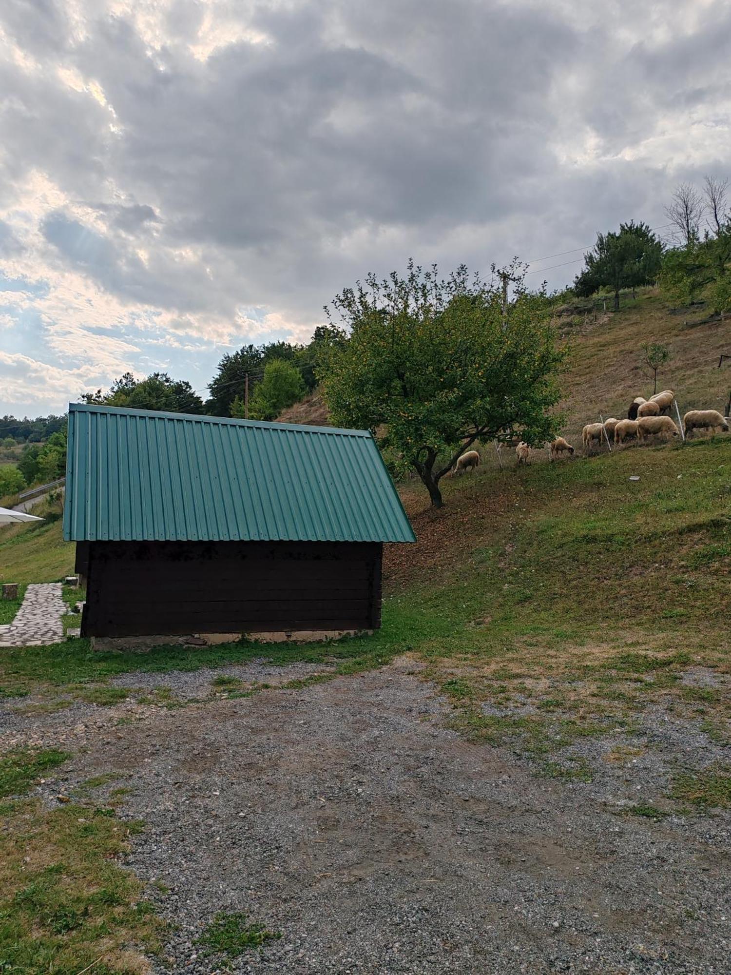 Bungalovi Vukovic Mojkovac Exterior photo